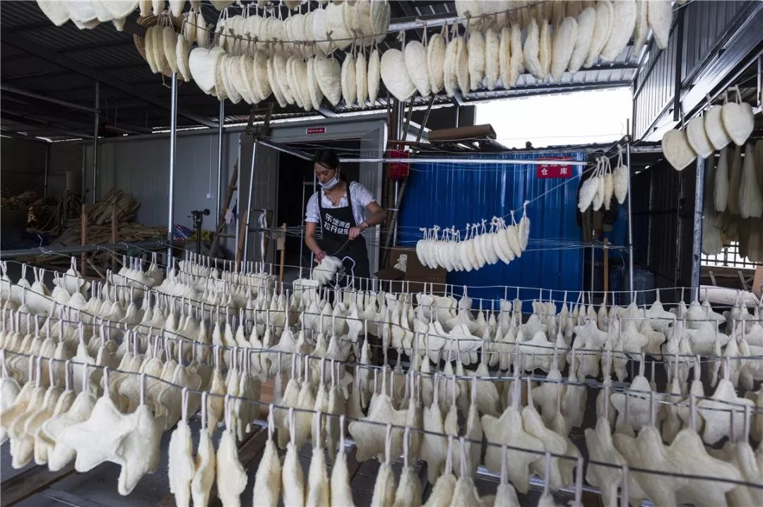 姹犲窞鐢熸椿璁板綍,姹犲窞娓哥帺鏃ヨ