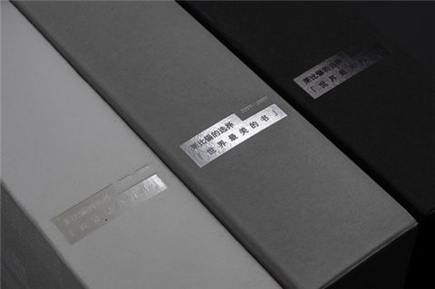 想了解这个世界看什么类型的书,德国莱比锡世界最美的书评选