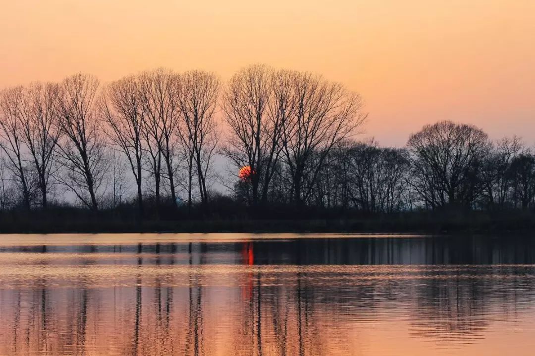 诗词中的难以启齿的字,古诗词难读懂的字