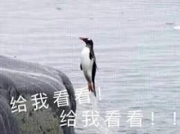 在日本用什么电话卡划算,在日本办理一个电话卡出国打工