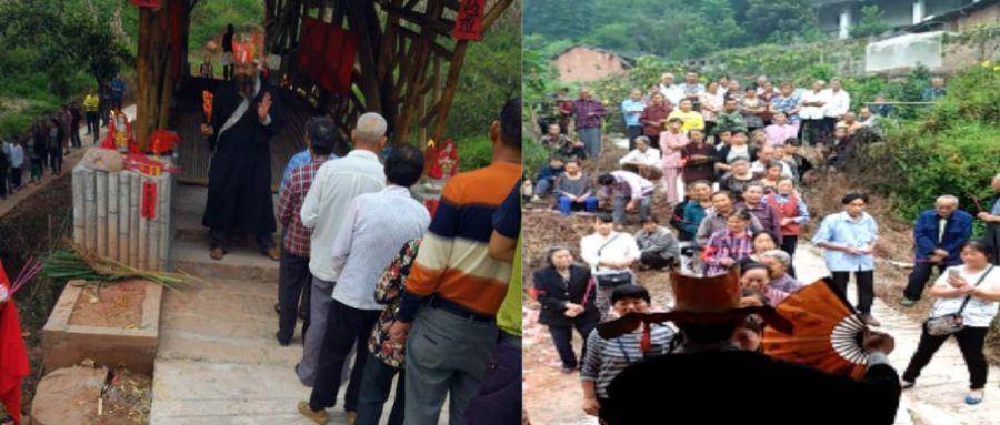 竹子的优点有哪些,竹子很有营养吗