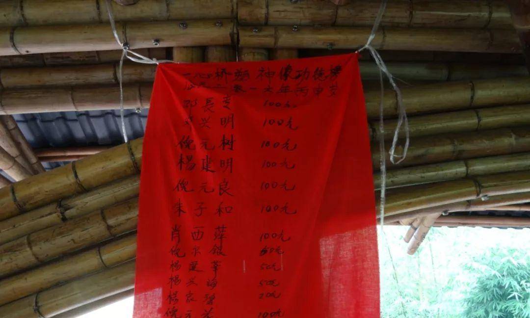 竹子的优点有哪些,竹子很有营养吗