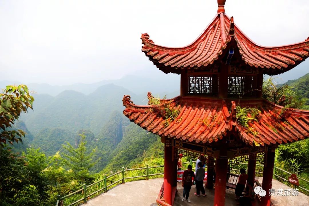 推荐|七彩天梯、野生猕猴、汽车露营……贵港龙潭国家森林公园与你不见不散