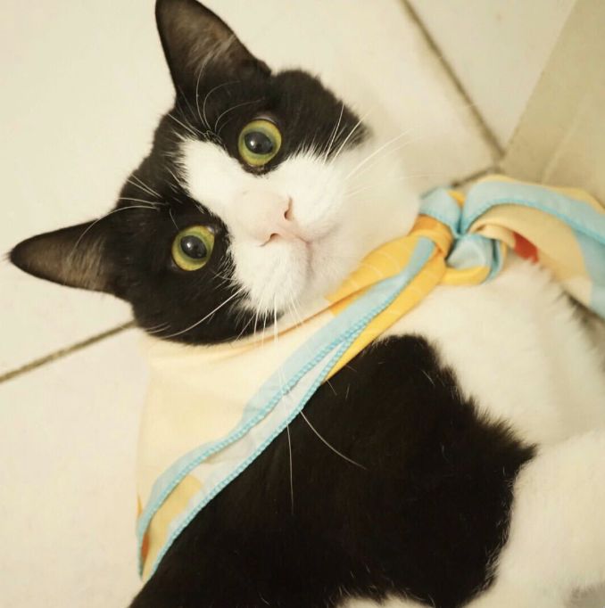 认识下广东人从小吃到大的宝藏水果,像冬季里清甜的山泉