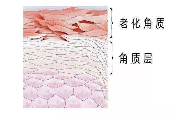 脸上化妆搓泥的正确方法,化妆化到一半搓泥怎么办