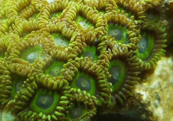 这是人家十年前的缸？我这些年瞎玩了……