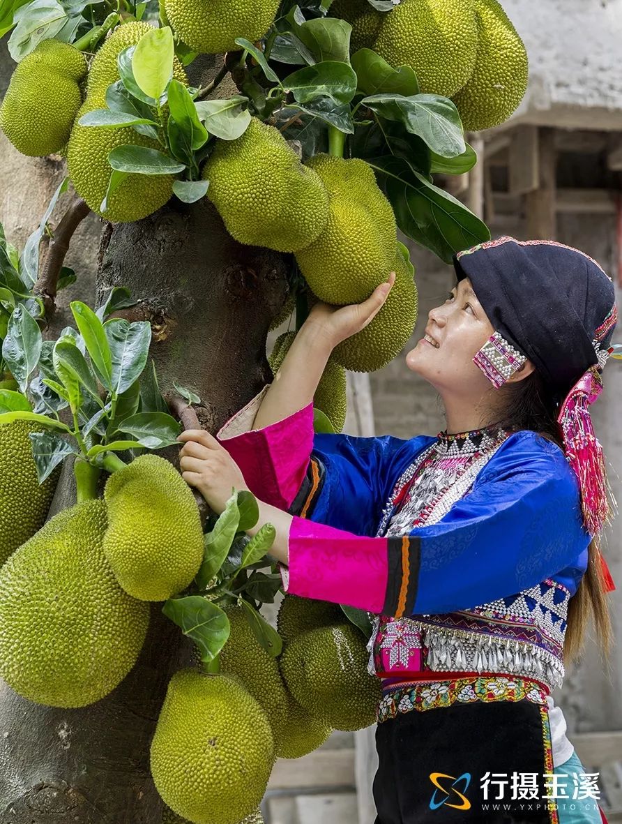 云南玉溪新平花腰傣服饰,傣族花腰傣服饰讲解