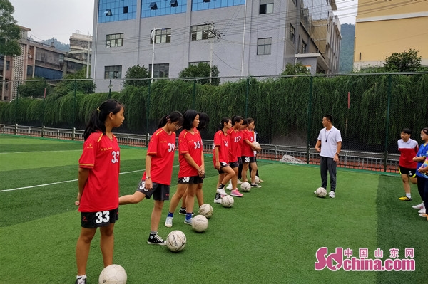 种下希望静待花开,种下希望静待花开歌曲