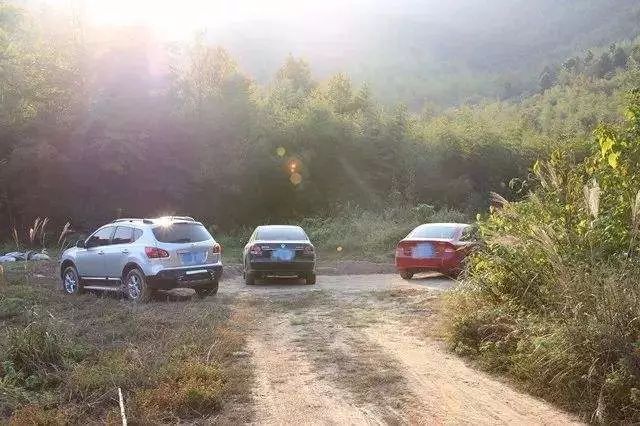 江西进贤县关于关闭麻将馆,江西麻将馆禁止打牌吗