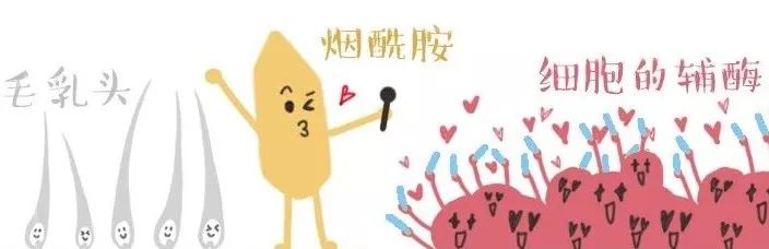 用了烟酰胺后会长斑吗,烟酰胺原液用了会长毛吗