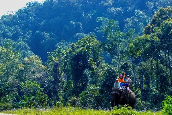 我和重庆,新建的机场有到西双版纳的航班吗