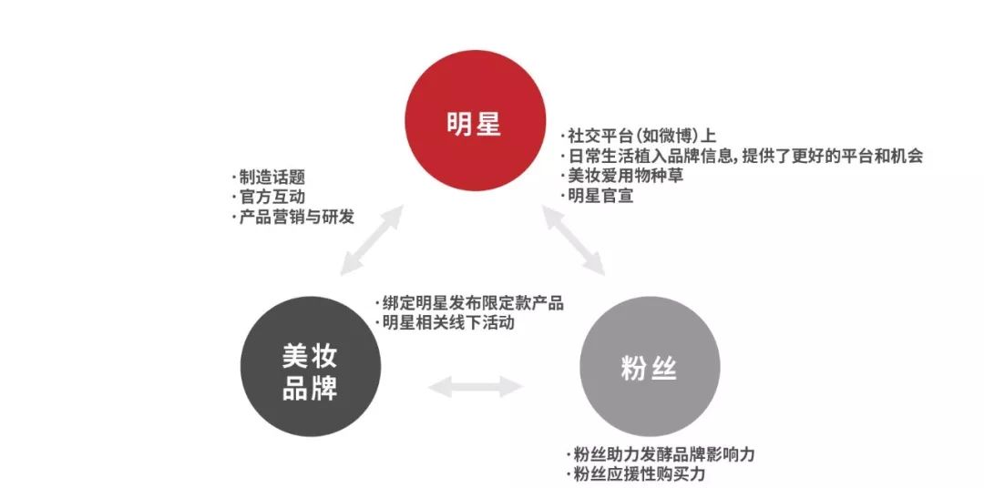 美妆品牌背后的秘密有哪些呢,全面剖析美妆品牌