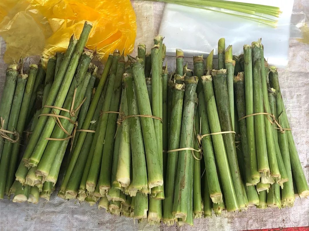 西双版纳傣族赶街视频,勐腊县勐仑镇赶街