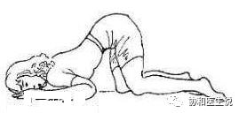 关于盆底康复你想知道的都在这里,老年女性盆底有病什么症状