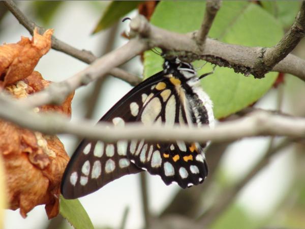 在宁波生活是怎样的体验,在宁波读书的真实感受