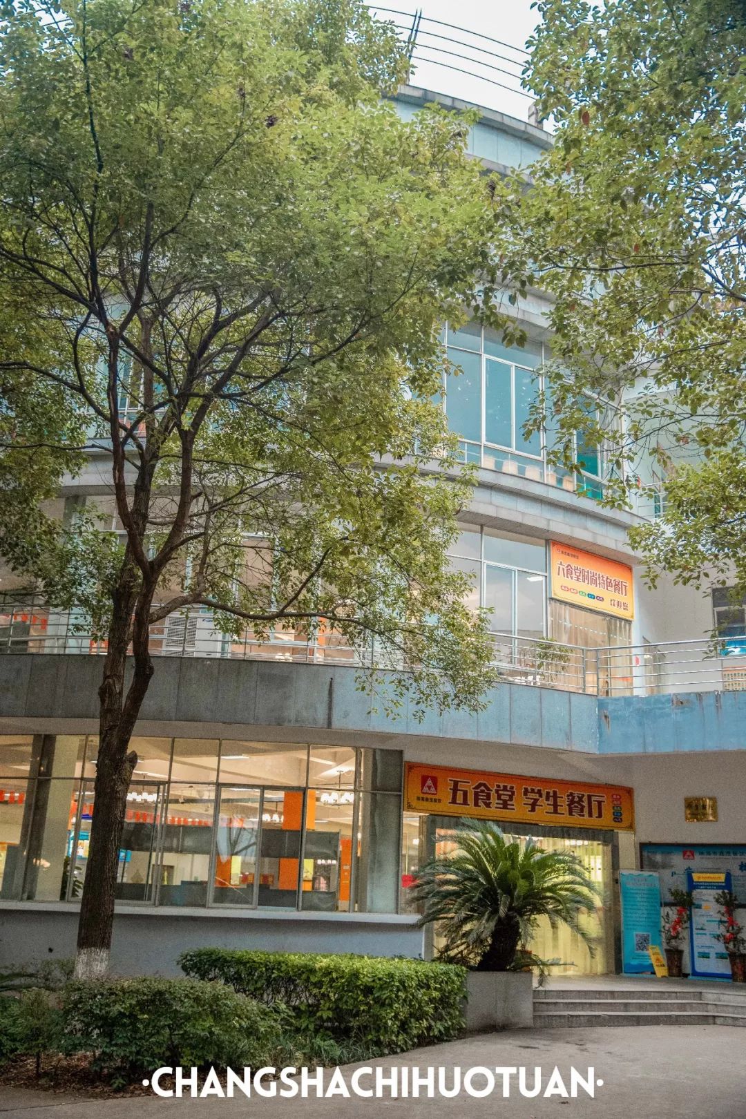 闀挎矙姘戞斂瀛︽牎瀹樼綉,闀挎矙姘戞斂瀛﹂櫌鐢熸椿