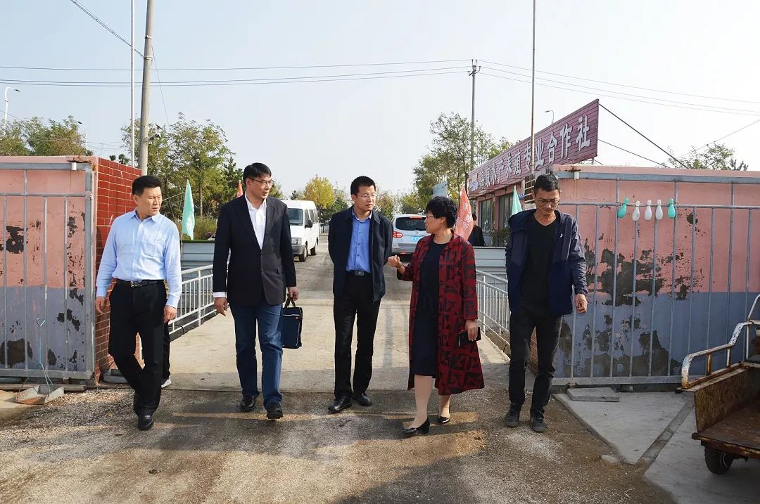 中国工程院院士海阳,海阳出了几位院士