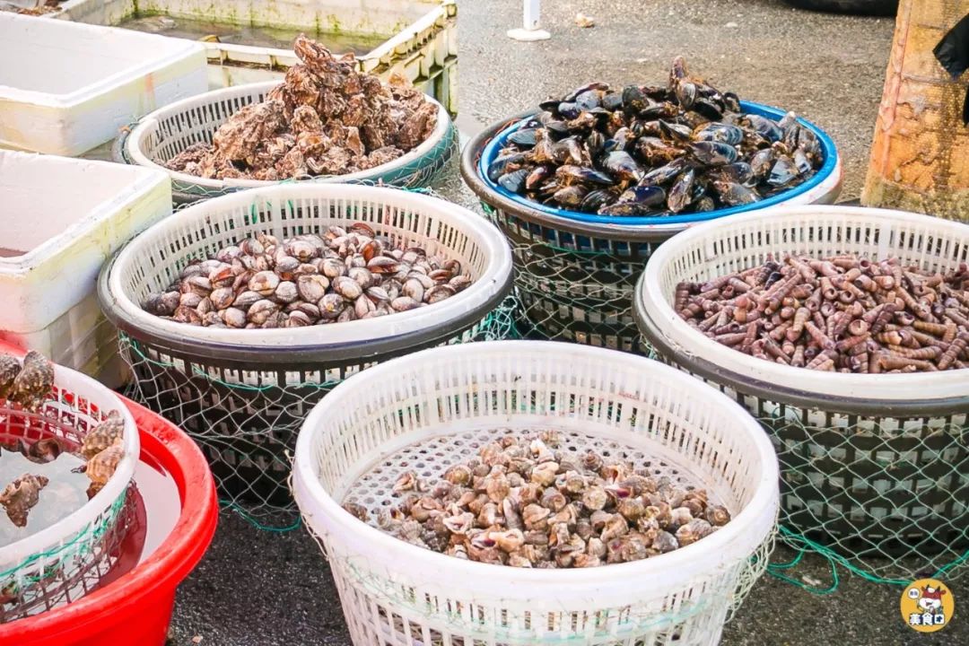 小港码头有蛏子吗,小港码头吃海鲜俱乐部电话