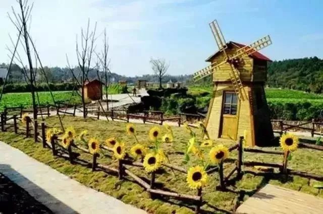 学习日本农业：超前思维，敬畏自然，死磕单品