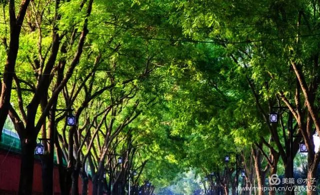 正定湿地公园骑行,骑行正定古城墙感受