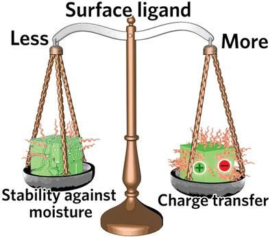 厦大NatureCat.，天大NatureCat.,催化前沿每周精选丨1014-1020