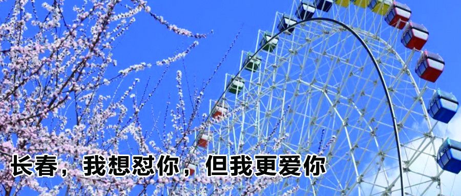 我连自己的女人都保护不了,泰国旅游遭领队侵犯