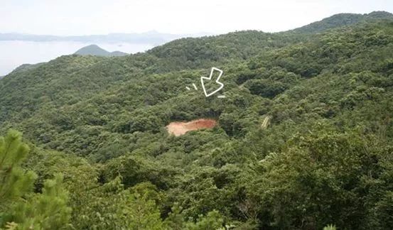 澳皙可涂抹面膜,澳皙可海藻面膜适合什么肤质