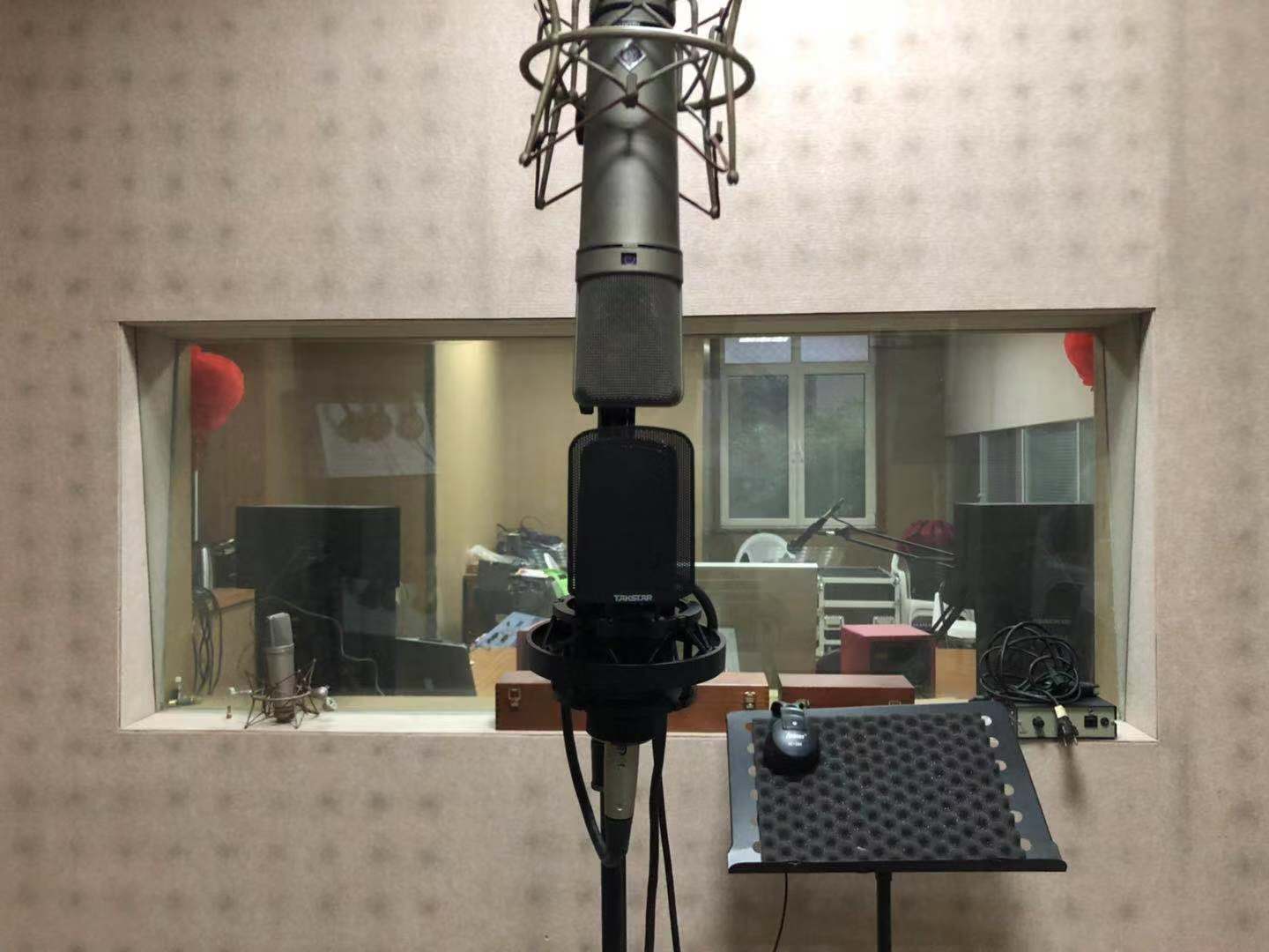 得胜tak45麦克风是电容的吗,得胜tak35电容麦克风