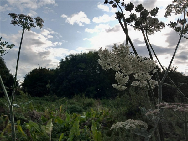 摩托罗拉e6plus,摩托罗拉e6手机质量怎么样