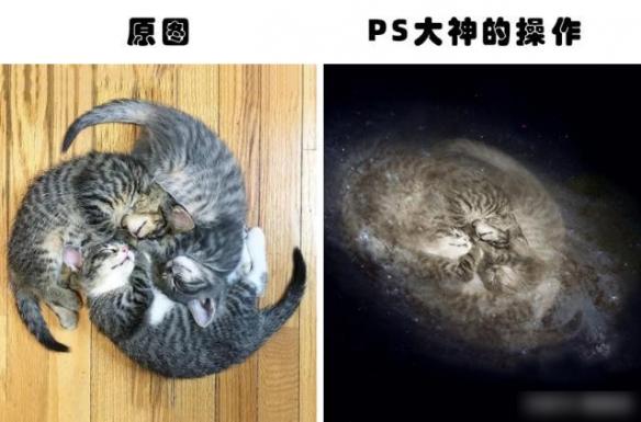 你绝对没见过的ps大神搞笑p图对比,求ps大神帮忙p图搞笑