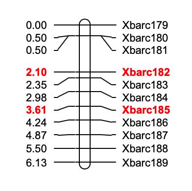 如何绘制交叉网状图,怎么快速画线性图