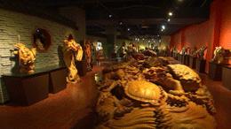 清华博士副县长,清华博士闽侯副县长