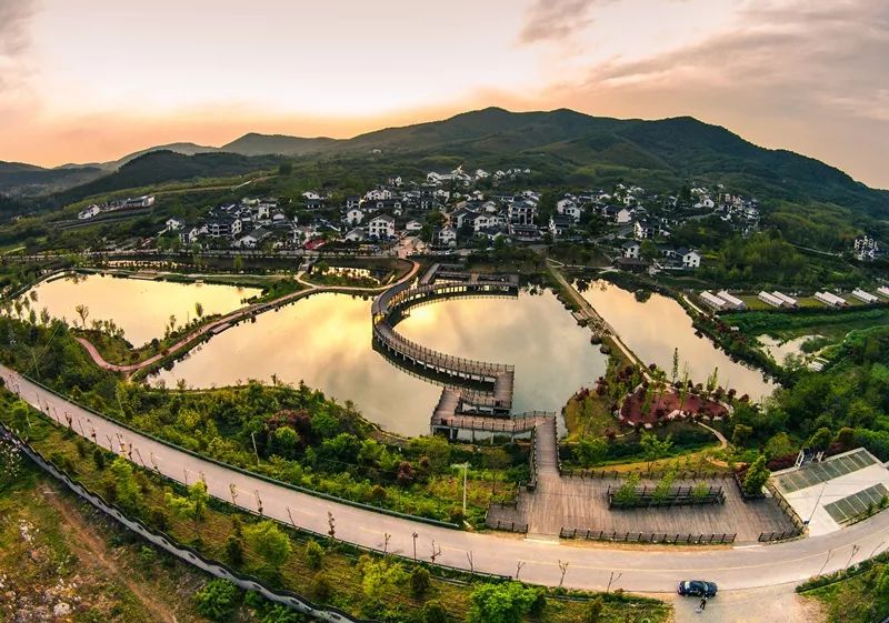 天呐!被南京这些路圈粉!