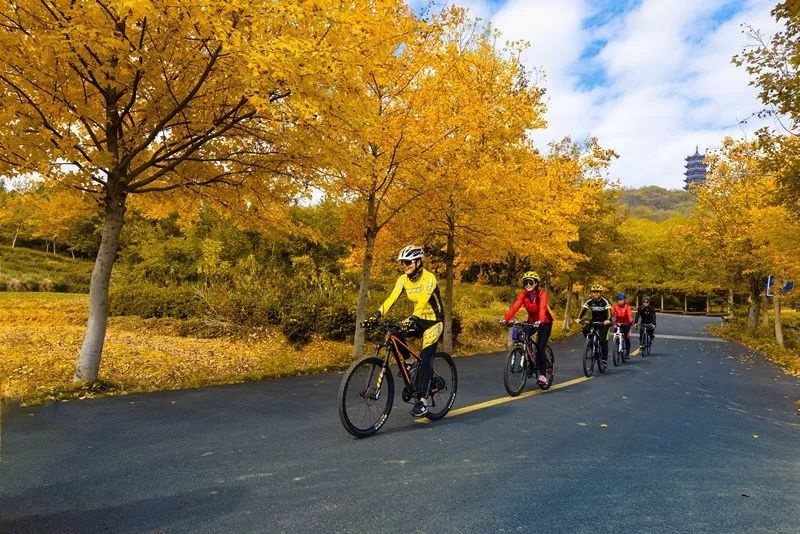 天呐！被南京这些路圈粉！