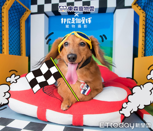 毛孩子有牙结石,毛孩子长牙结石了怎么办