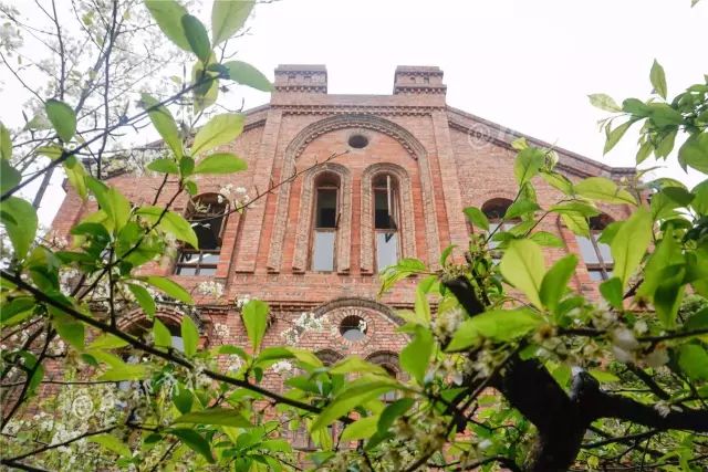 成都最有名的冷知识,成都冷知识