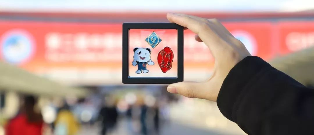 进博会小叶子徽章,进博会小叶子完整视频