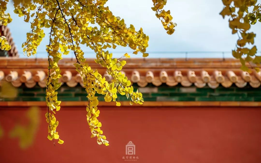 故宫600年故宫图,故宫100张照片原图