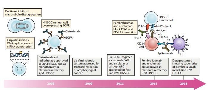 头颈部腺癌化疗方案,头颈部姑息化疗联合靶向治疗