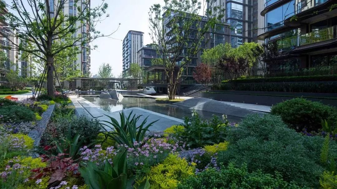 龙湖舜山府背后的故事,2024年重庆龙湖舜山府