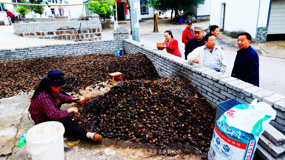 美秀娇甜，淳朴自然，可爱的中国，弋阳一日见闻