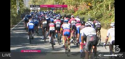 驭风者最新视频,驭风者全部视频