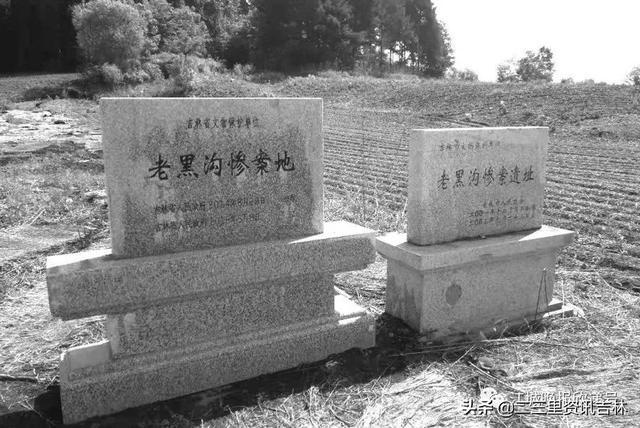 国家重点保护动物名录,吉林省全国重点保护文物