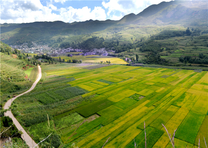 曹振华富源,富源金城路曹振华