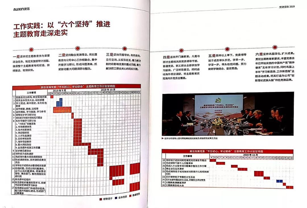 奥信发展公司*党**委发布《*党**建报告2019》