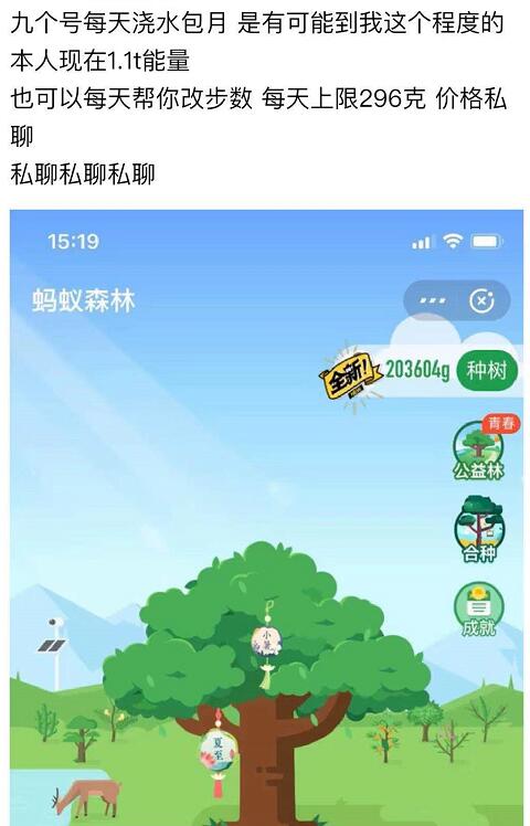 雪地代写订单,代写雪地表白