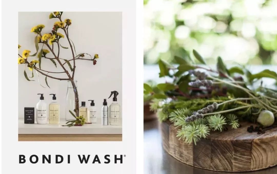 无限回购的洗护好物推荐,无限回购加空瓶的好物