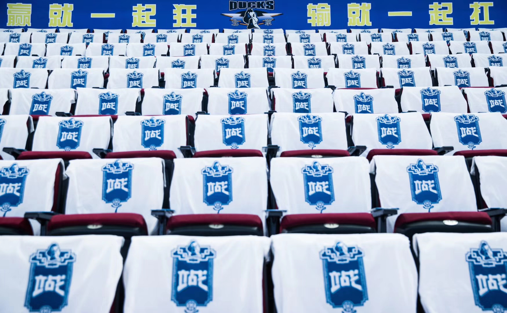 恩怨宿命世界杯,榜首易主cba京城德比谁更强