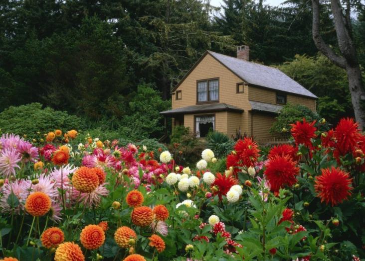 中国最有意思的十首诗,一个字标题的10首诗依然流传千古