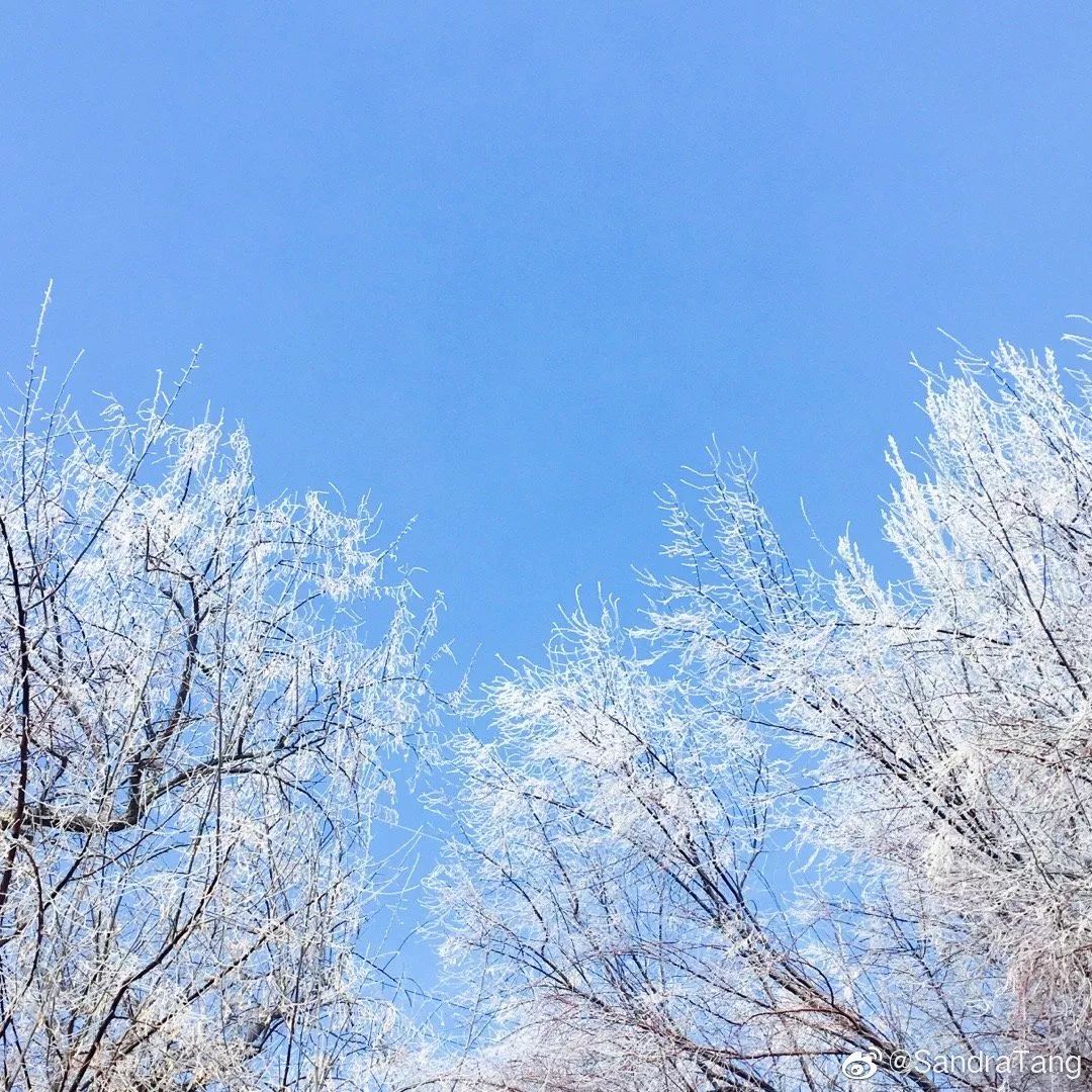 中国哪里开始下雪了,什么地方开始下雪了